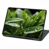 Laptop skin Sticker Grass, water droplets P558 - Graphic design. Green grass leaves with water droplets on a dark background.