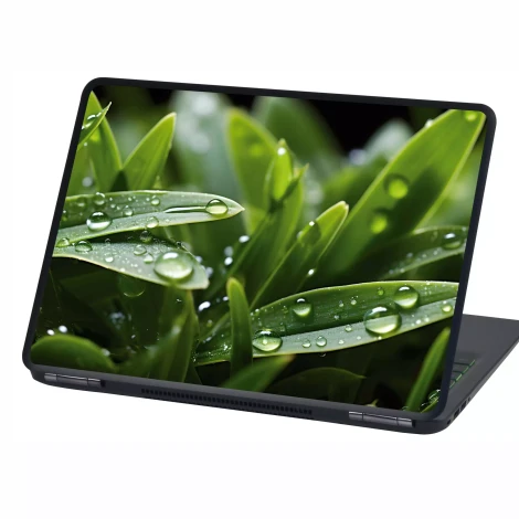 Laptop skin Sticker Grass, water droplets P558 - Graphic design. Green grass leaves with water droplets on a dark background.