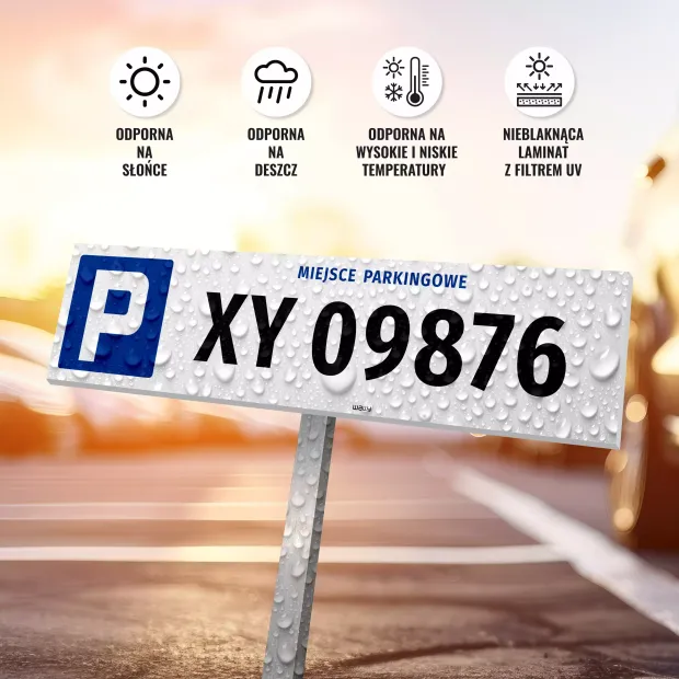 Parking sign with registration number, designated parking space - Graphic design. White background with blue accents.