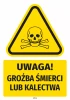 Safety Warning Sticker with Pictogram: Danger of Death or Disability
