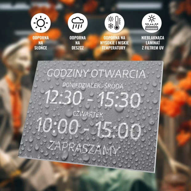Custom Sign: Opening Hours with Days