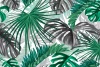 Wallpaper Jungle, Forest, Tropical Leaves
