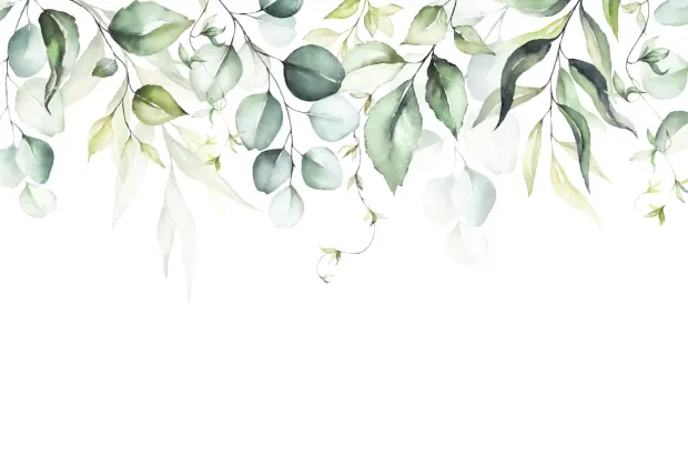 Wall Mural Climbing Green Exotic Leaves