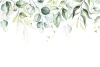 Wall Mural Climbing Green Exotic Leaves