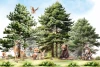 Wallpaper for Children’s Room: Forest Animals