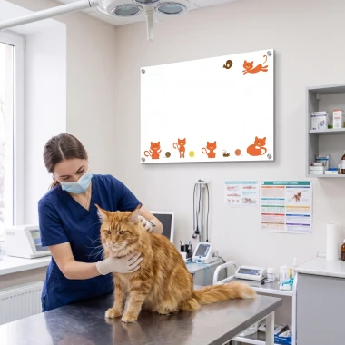 Whiteboard Magnetic Whiteboard For Children Cats 118