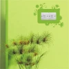 Sticker for outlet 1117 in vibrant green, decorating a wall in a modern interior, next to a socket.