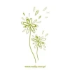Flower painting stencil 1356 in a soft green color, perfect for refreshing modern decor.