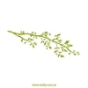 Stylish branch sticker 1441 in a fresh green shade, perfect for bringing nature into modern spaces.