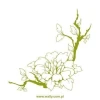 Flower branch sticker 1435 in a soft green shade, perfect for brightening up a modern interior.