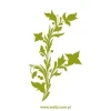 Elegant floral sticker 1428 in a cozy setting, perfect for decorating modern interiors.