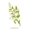 Elegant floral sticker 1439 in shades of green, perfect for decorating a modern interior.