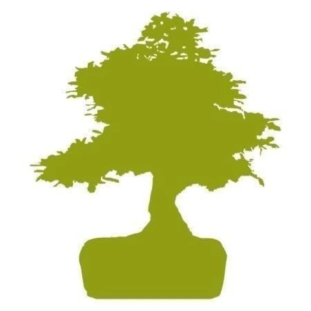 Stylish bonsai tree in soft green, perfect for modern interiors, adding harmony to any space.