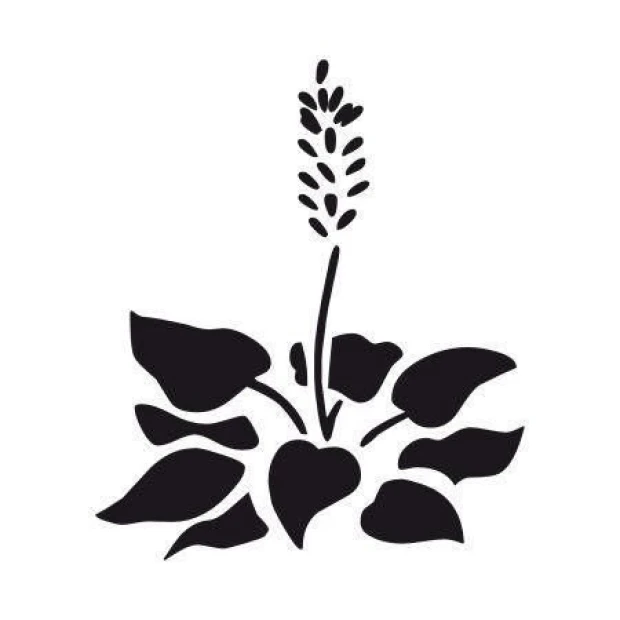 Elegant flower sticker with delicate leaves, perfect for a stylish living room or cozy bedroom.