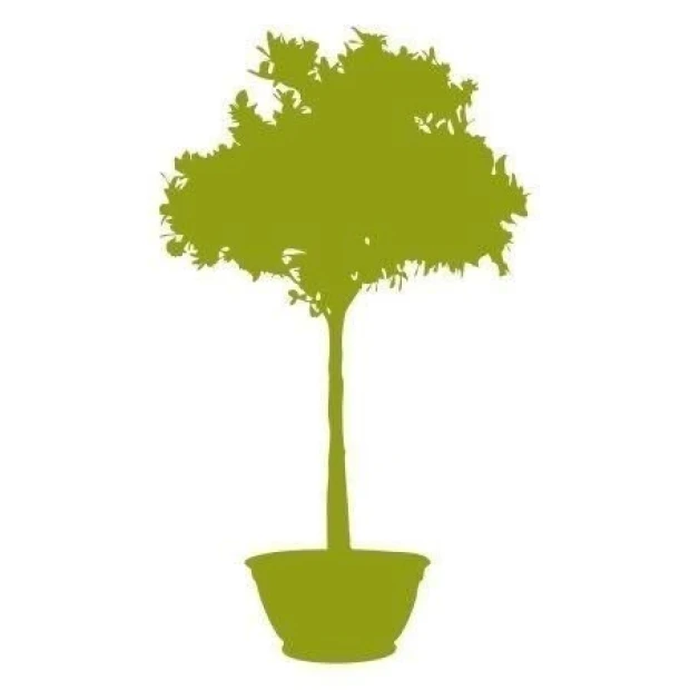 Stylish sticker featuring a potted plant design, perfect for brightening up a modern interior.