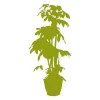 Stylish potted plant sticker, perfect for modern interiors, adding freshness and a natural touch.