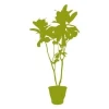 Stylish plant sticker, perfect for brightening up a modern interior with pastel shades.