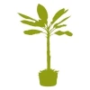 Stylish plant sticker in shades of green, perfect for refreshing a modern interior.