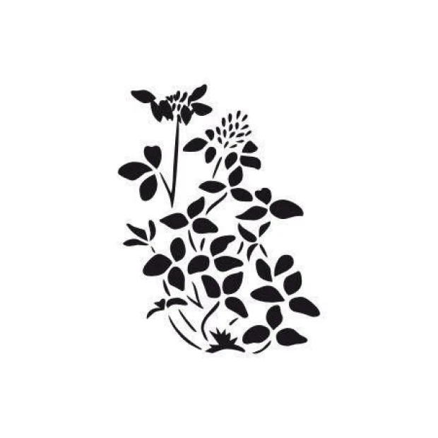 Flower painting template 1690 in an elegant, minimalist style, perfect for modern interiors.