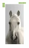 Wallpaper For Doors White Mare Fp 6184