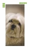 Wallpaper For Doors White Dog Fp 6204