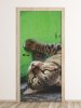 Wallpaper For Doors Wild Boar Cat Fp 6170