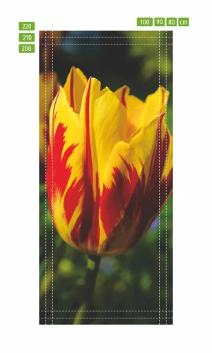 Wallpaper For Door Red Yellow Tulip P24