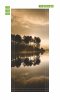 Photowallpaper For Tree Doors In Sunlight Fp 6223