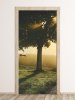 Wallpaper For Doors Tree In The Sun Fp 4021