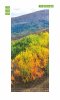 Wallpaper For Autumn Doors Of Trees Fp 5763