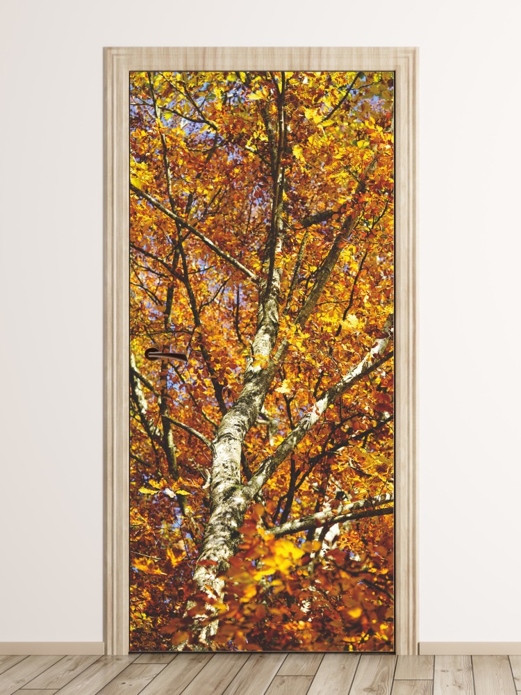 Wallpaper For Autumn Doors Tree Fp 6071