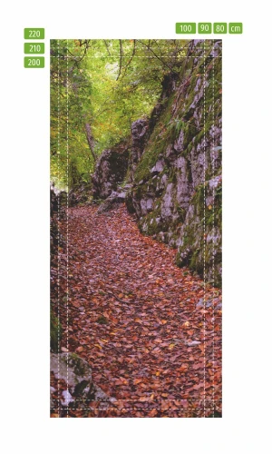 Wallpaper For Door For Autumn Leaves Fp 6042