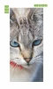 Wallpaper For Door For Cat Doors Look Fp 2745 D