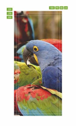 Wallpaper For Colourful Parrots Fp 2567 D