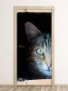 Wallpaper For Door Cat Fp 2571 D