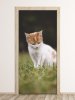 Wallpaper For Doors Cat Fp 6165