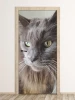 Wallpaper For Door Cat P17