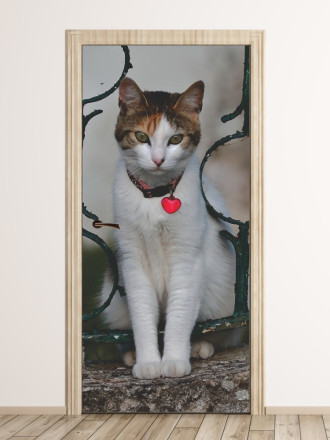 Wallpaper For Doors For Cat With Heart Fp 6171