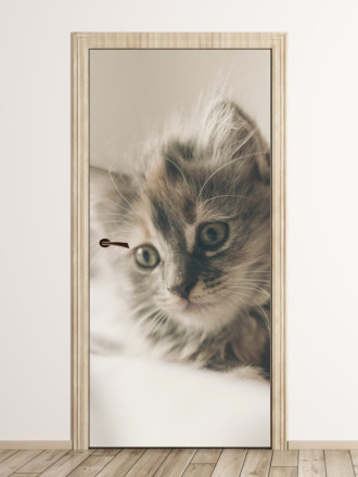 Photo wallpaper for kitten doors in bedding fp 2998 d
