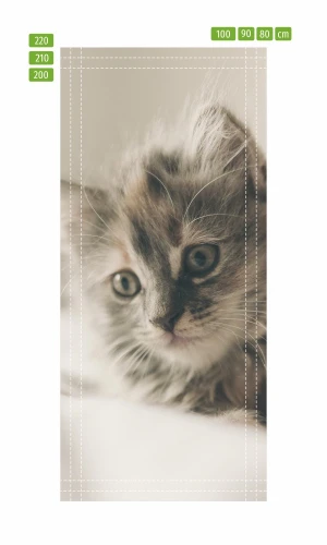 Door wallpaper Kitten In Bedding Fp 2998