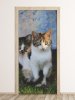Wallpaper For Doors For Cats Fp 6167