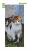 Wallpaper For Doors For Cats Fp 6167