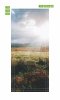Wallpaper For Doors Meadow In The Sun Fp 1552
