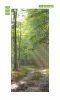 Wallpaper For Doors P87 Forest