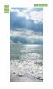 Wallpaper For Doors For Ocean Doors Fp 6200