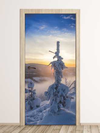 Wallpaper For Snow-Covered Doors Tree Fp 6148