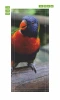 Wallpaper For Door Parrot Fp 2400 D