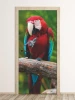 Wallpaper For Doors Parrot Fp 6211