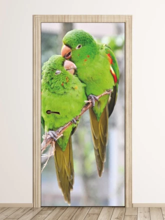 Wallpaper For Doors For Inseparable Parakeets Fp 6160