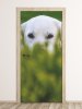 Wallpaper For Doors Dog Hidden In The Grass Fp 6185
